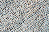 Monitoring New Impact Site