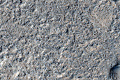 Possible Bamberg Crater Distal Deposits inside Very Degraded Crater