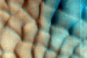 Dune Survey