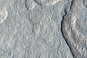 Utopia Planitia