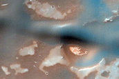 Dune Survey