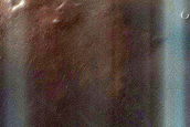Dune Survey
