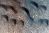 Dune Survey