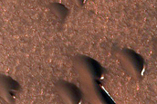 North Polar Region