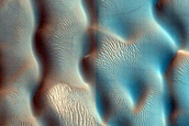 Dune Survey