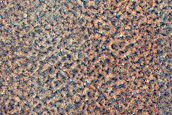 High-Latitude Northern Frost Enhanced Polygons