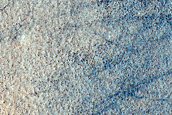 Utopia Planitia