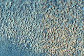 Impact Monitoring in Arcadia Planitia