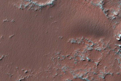 Dune Field