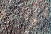 Layered Exposures and Gullies in Hellas Planitia