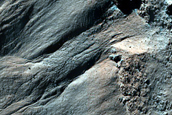 Gully Frost Monitoring