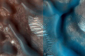 Dune Field