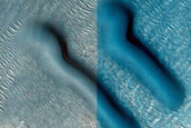 Dune Field