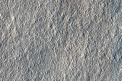 Impact Monitoring in Arcadia Planitia