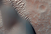 Dune Field