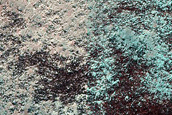 Fringe of Perennial Ice