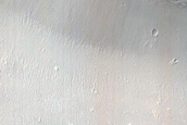 Cerberus Fossae