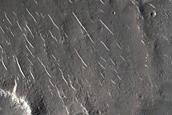 Mesa