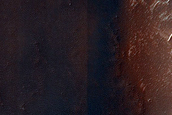 Dune Field