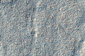 Layered Features in Small Craters in Deuteronilus Mensae