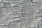 Monitoring New Impact Site