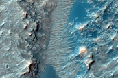 Dune Field