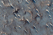 Terrain Sample