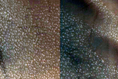 Dune Monitoring in Northern Mid-Latitude Crater