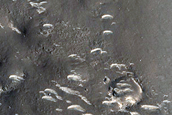 Terrain Sample