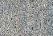 Utopia Planitia