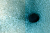 Dune Field