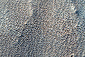 Monitoring New Impact Site