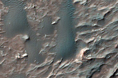 Dune Field