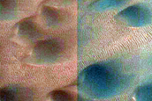 Dune Field