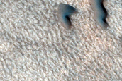 Dune Field