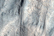 Gully Monitoring