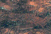 Arcuate Surface Patterns