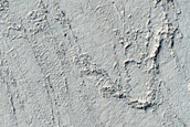 Southeastern Cerberus Palus