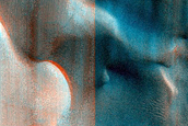 Dune Monitoring in Crater