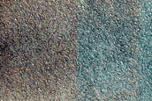 Terrain Sample