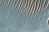 Terrain Sample