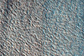 Terrain Sample