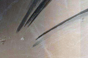 Terrain Sample