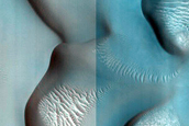 Dune Survey
