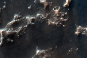 Dune Survey