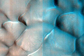 Dune Survey