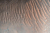 Terrain Sample