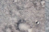 Recent Impact Cluster