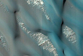 Dune Survey