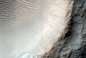 Terrain Sample